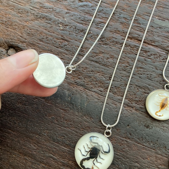 Real Scorpion Iridescent Festival Necklace Resin Taxidermy Pendant Scorpio - Picture 6 of 6